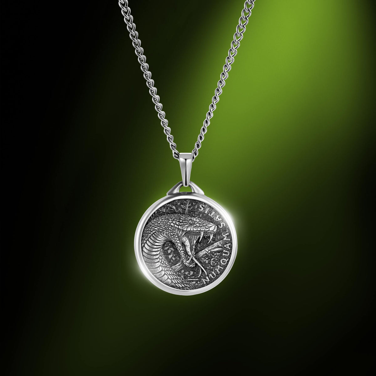 Silver necklace with a coin pendant featuring a snake design on a dark background