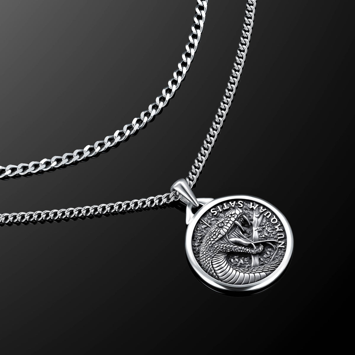 Silver necklace with a detailed pendant on a black background