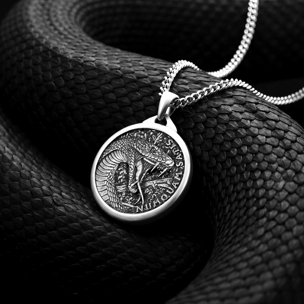 Silver snake pendant necklace on a coiled black snake