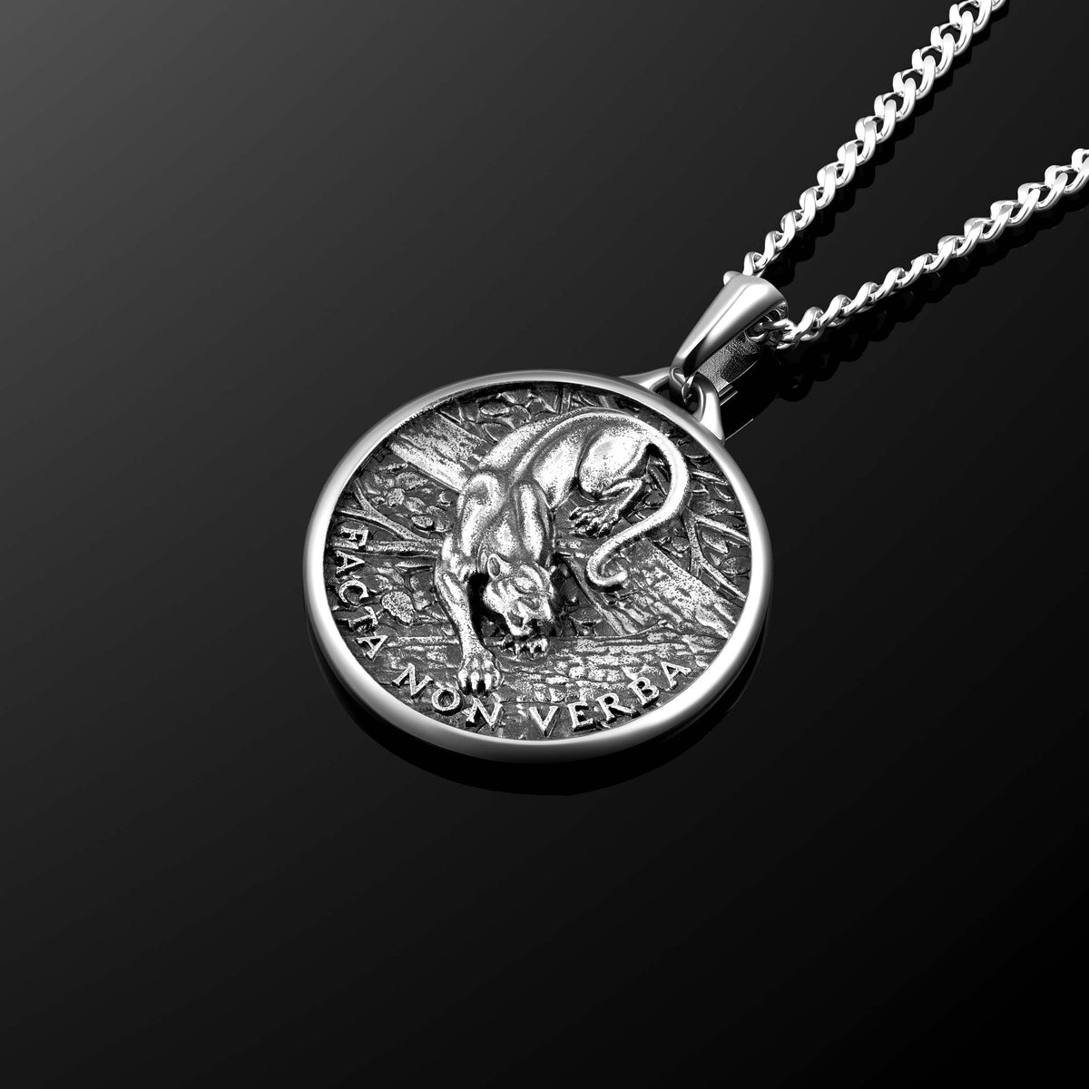 Silver pendant necklace with engraved design on a black background