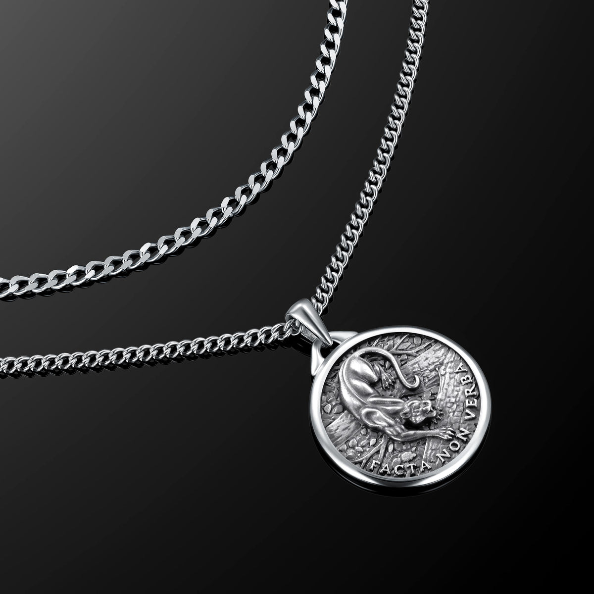 Silver necklace with a coin pendant on a black background