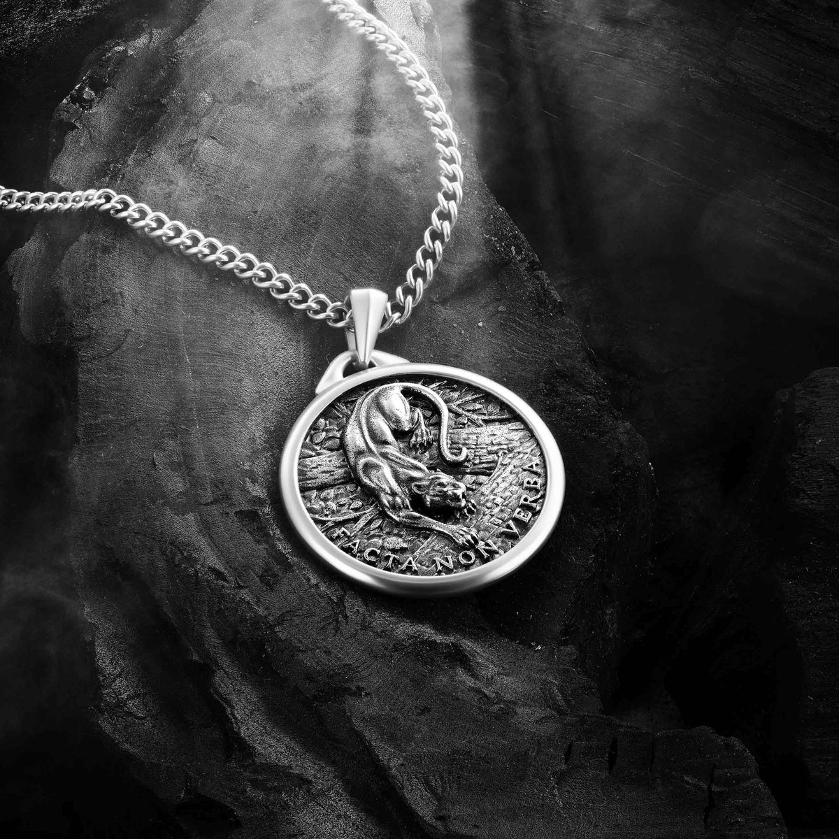 Silver necklace with a round pendant featuring a lion design on a dark stone surface