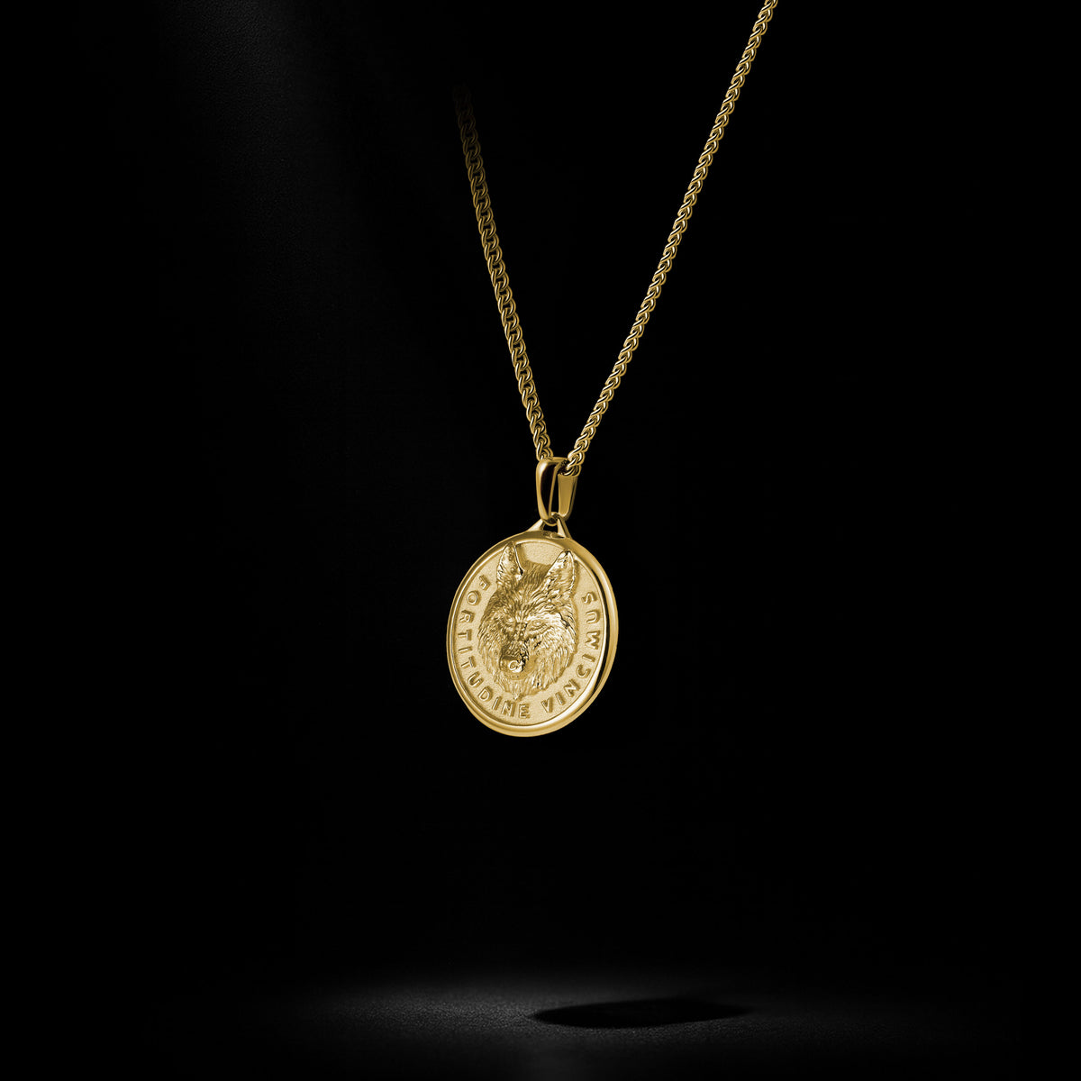 Gold necklace with a coin pendant on a black background