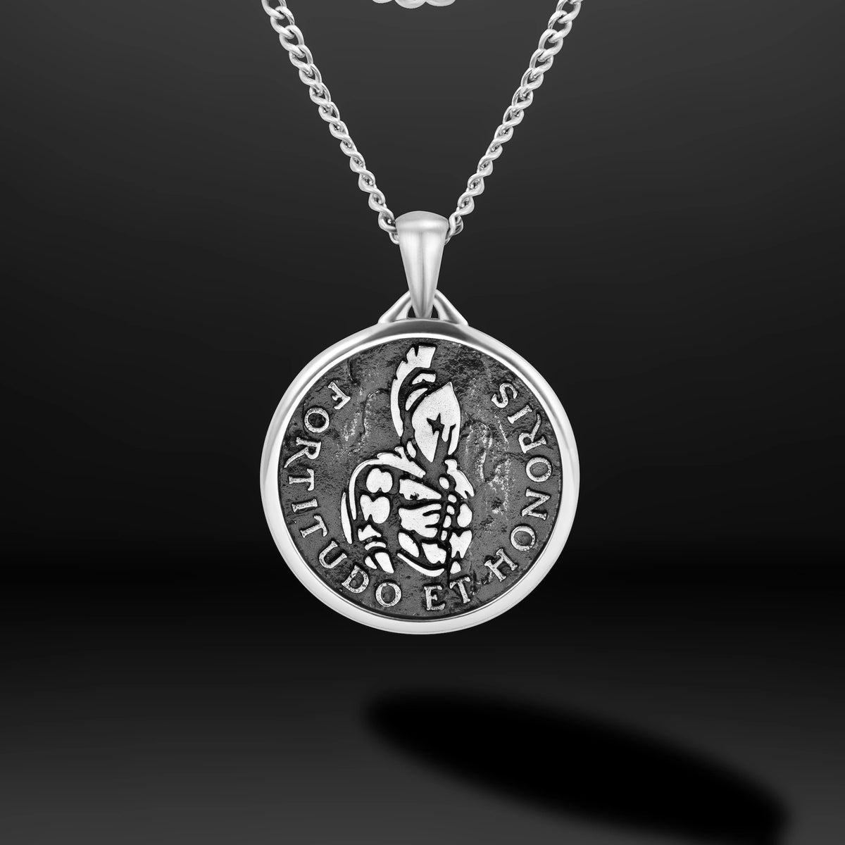 Close-up of a silver chain necklace with silver Spartan pendant 