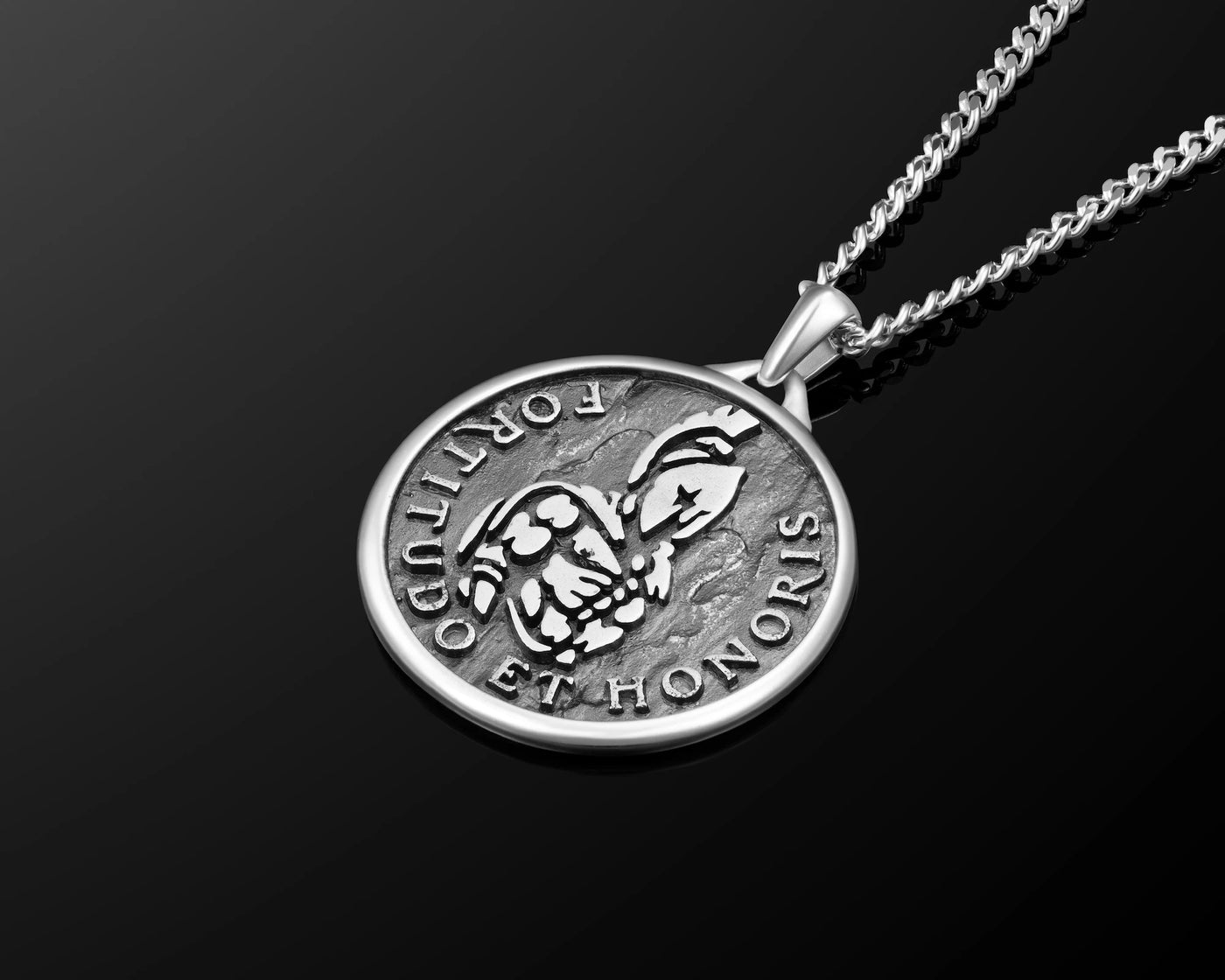 Close-up of a silver chain necklace with silver Spartan pendant 
