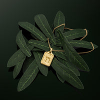Gold necklace with a pendant on green leaves against a dark background