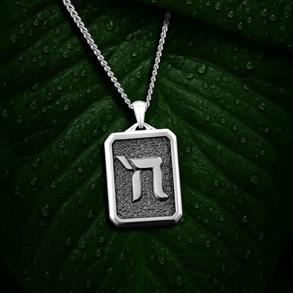 Silver pendant with a symbol on a dark green leaf