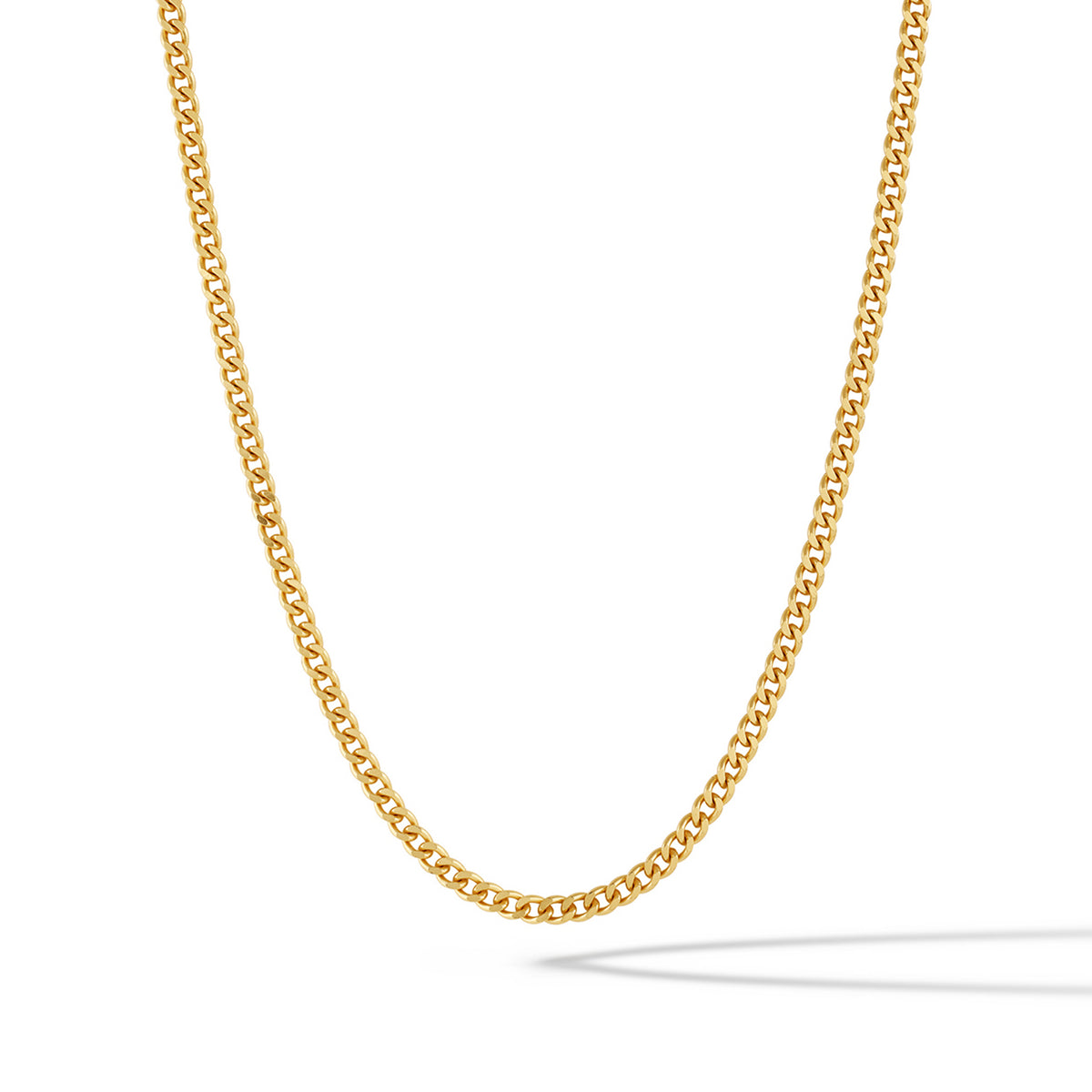 A curb chain necklace with a polished 14k gold plating and a parrot clasp.