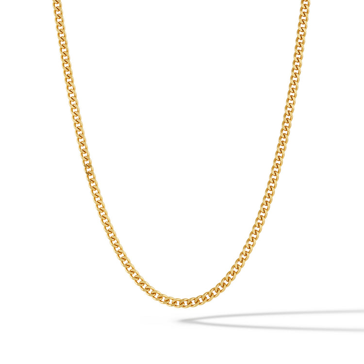 A curb chain necklace with a polished 14k gold plating and a parrot clasp.