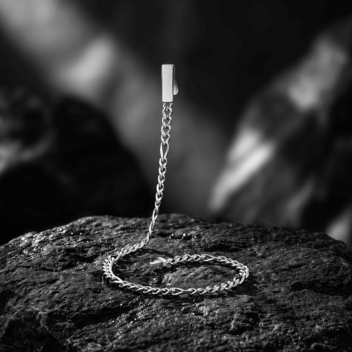 A silver chain accessory with a rectangular metal clasp and a braided chain section, displayed on a dark textured rock against a blurred black-and-white natural background.