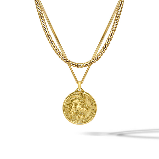 A gold double-layer necklace featuring a curb chain and a cable chain with a circular coin pendant depicting a lion head.