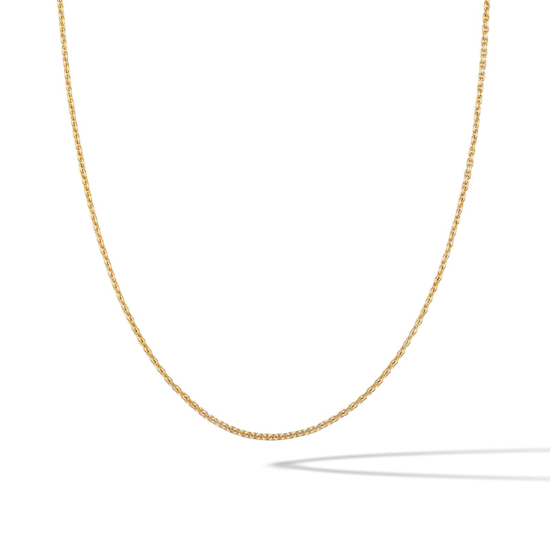 Rolo Chain Necklace - Gold