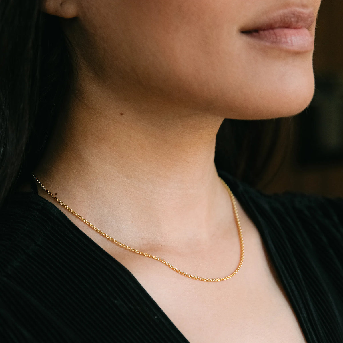 Rolo Chain Necklace - Gold