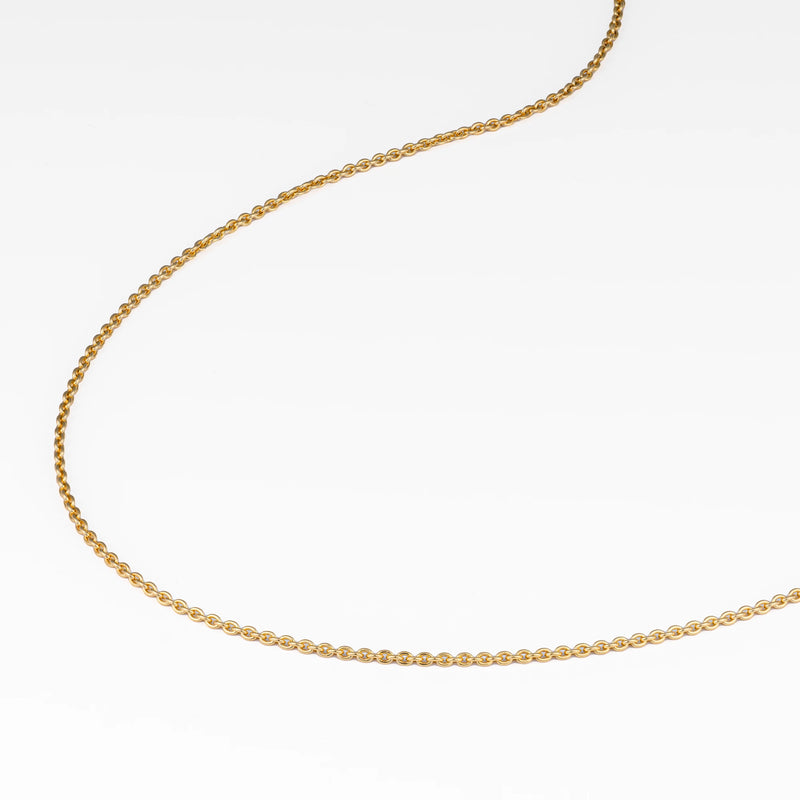 Rolo Chain Necklace - Gold