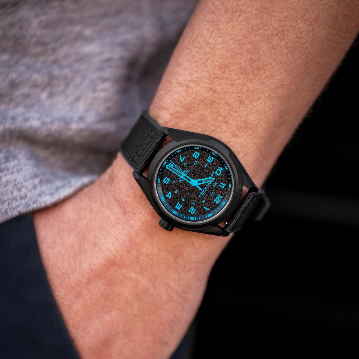 The Scout Limited Release - Barracuda