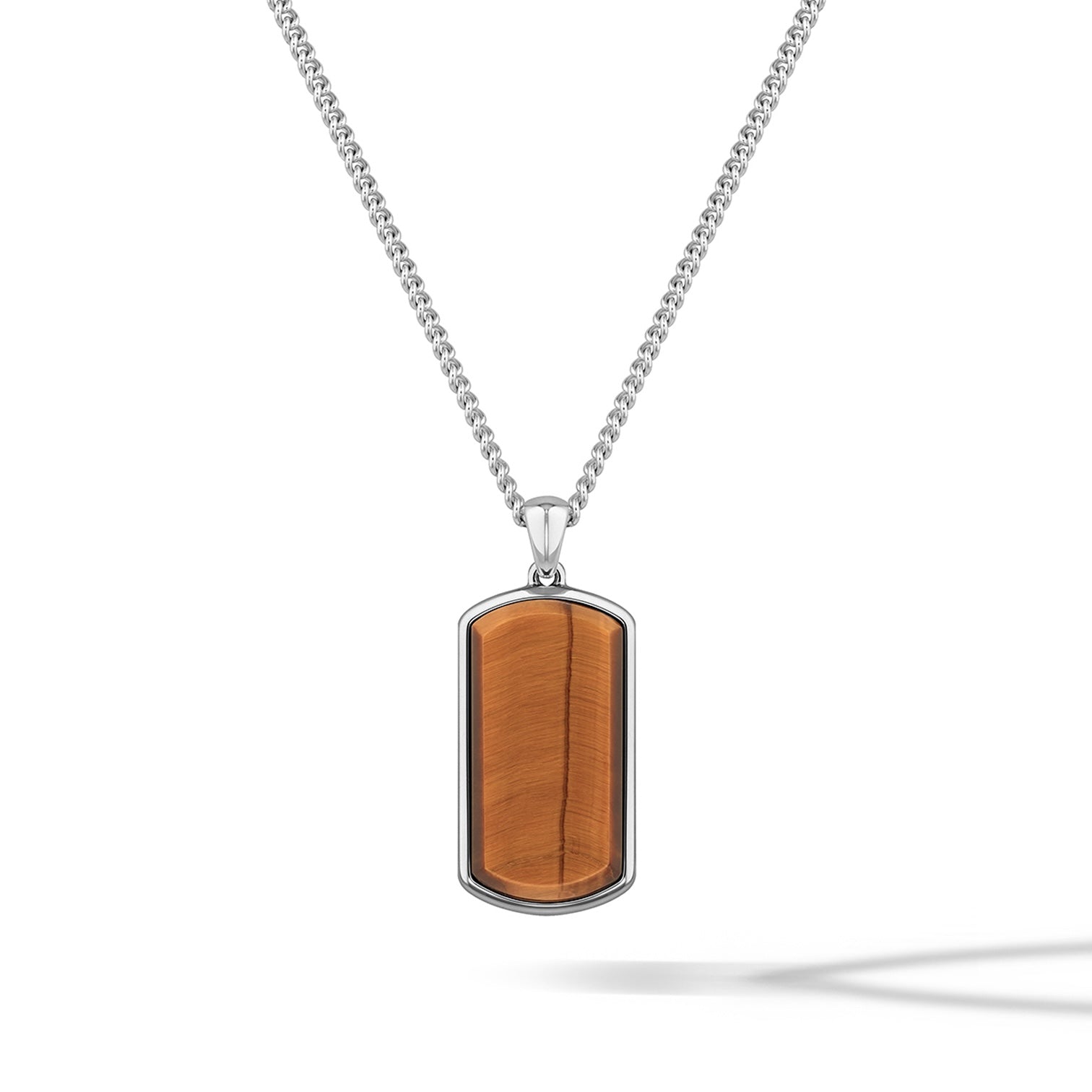 Tag-Tigers-Eye-01_bb47884e-