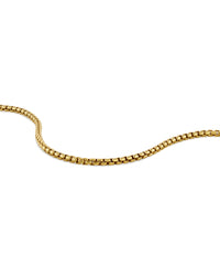 Men's Luxury Gold Box Chain Bracelet with Parrot Clasp