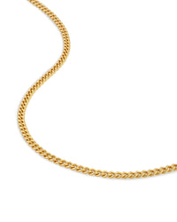 Men's Luxury Gold Curb Chain Necklace with Parrot Clasp