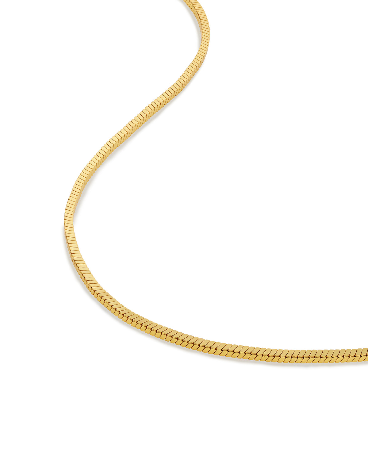 Women's Luxury Gold Snake Chain Necklace with Parrot Clasp