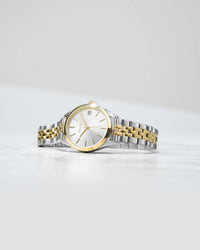 The Vienna Silver 316L Stainless Steel Strap Silver Watch Face Silver Case Clasp Gold Accents